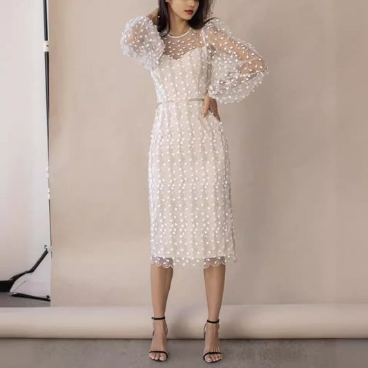 Damen Transparentes Kleid mit Transparenten Puffärmeln und Blumenstickerei
