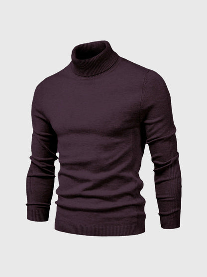 Rollkragenpullover mit zeitlosem Design für Herren