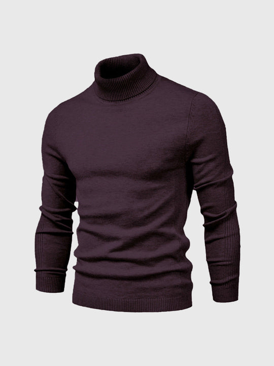 Rollkragenpullover mit zeitlosem Design für Herren
