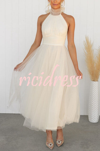 Maxikleid mit gerafftem Tüll-Halfterdetail